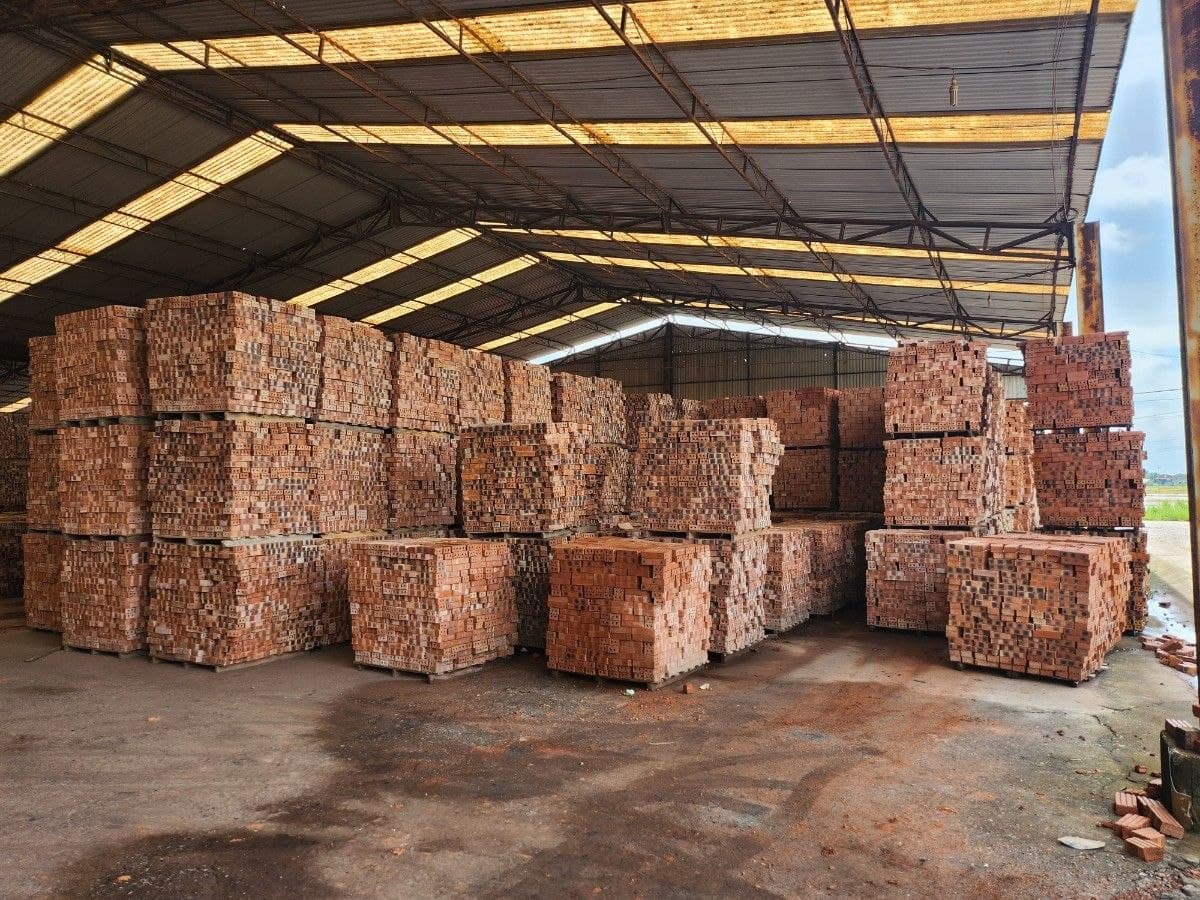 Finished bricks are stacked in organized groups at the facility.