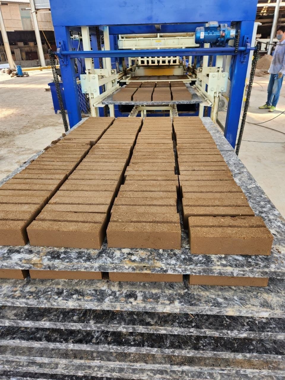 Newly formed bricks move from the production equipment for drying and handling.